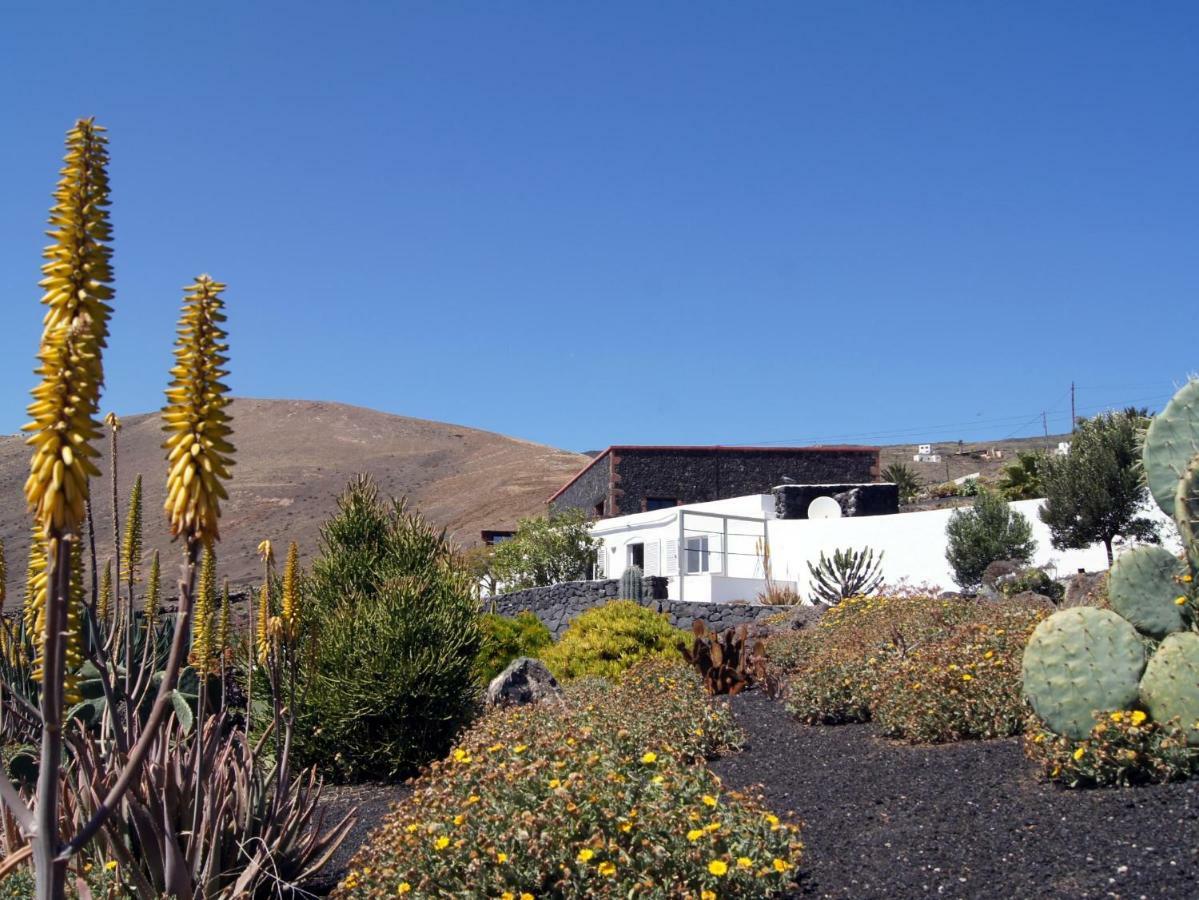 Castillo Lanzarote Villa Winni - Luxury Villa - Pet Friendly With Heated Pool La Asomada (Lanzarote) Exterior foto